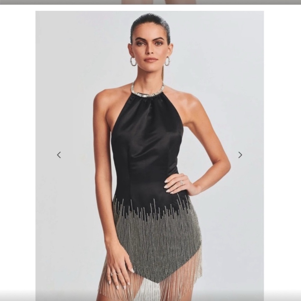 Retrofete Elegant Black and Silver Fringe Dress - Picture 9 of 16